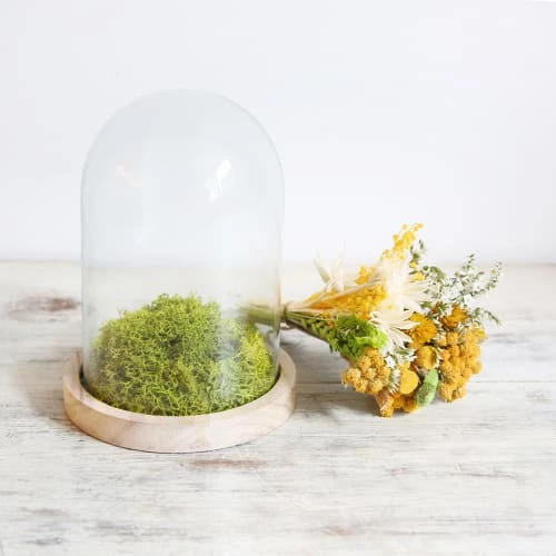 Meilleure affaire ❤️ Origine Atelier Floral Fleurs Séchées Kit DIY Globe Fleurs Séchées Soleil ⌛ – Image 3