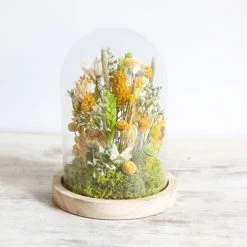 Meilleure affaire ❤️ Origine Atelier Floral Fleurs Séchées Kit DIY Globe Fleurs Séchées Soleil ⌛