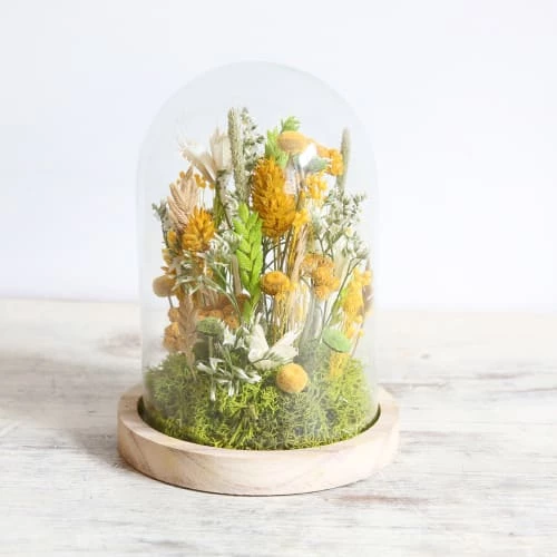 Meilleure affaire ❤️ Origine Atelier Floral Fleurs Séchées Kit DIY Globe Fleurs Séchées Soleil ⌛