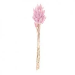 Vente flash ❤️ Rico Design Décoration De Jardin Lagurus Séchés Lilas 45cm 🔥