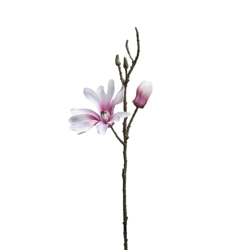 Bon marché 😀 Sia Deco Décoration De Jardin Magnolia 1 Fleur 🎁
