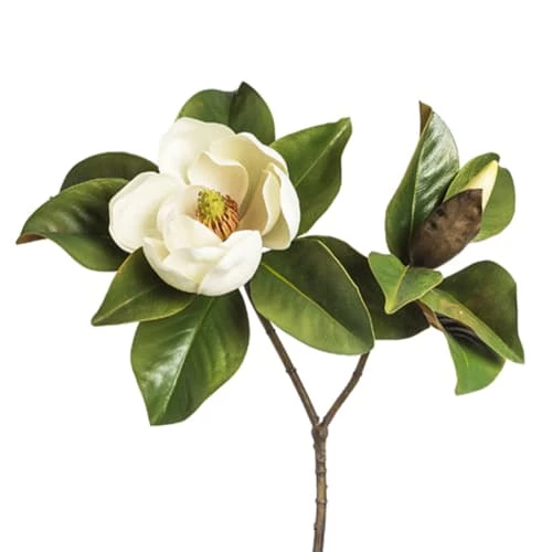 Vente flash 🎁 Sia Deco Décoration De Jardin Magnolia Avec Feuillage H60cm ⌛ – Image 2