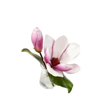 Sortie 🥰 Sia Deco Décoration De Jardin Magnolia Eau Magique 😉 – Image 3