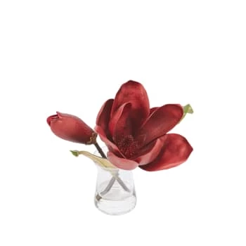 Sortie 🥰 Sia Deco Décoration De Jardin Magnolia Eau Magique 😉 – Image 4