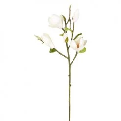 Vente flash 🛒 Sia Deco Décoration De Jardin Magnolia En Bourgeons H50cm 🛒