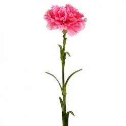 Coupon 🔥 Maisons Du Monde Fleurs Artificielles Et Bouquets Œillet Artificiel Rose - Lot De 2 😀