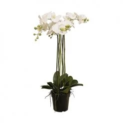 Sortie 😍 Sia Deco Décoration De Jardin Orchidée Artificielle En Pot H93cm 😍