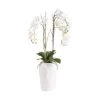 Grosses soldes 🌟 Sia Deco Décoration De Jardin Orchidée Artificielle En Pot Shell 🔥