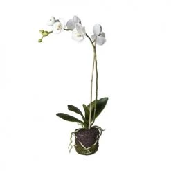 Coupon ⌛ Sia Deco Décoration De Jardin Orchidée Artificielle En Terre H59cm 🌟