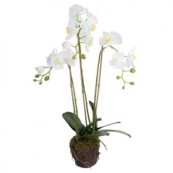Nouveau 😀 Sia Deco Décoration De Jardin Orchidée Artificielle En Terre H75cm 🛒