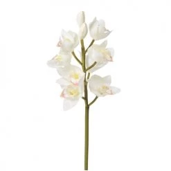 Bon marché 😍 Sia Deco Décoration De Jardin Orchidée Cymbidium H62 ⌛