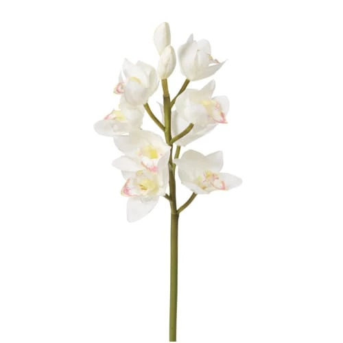 Bon marché 😍 Sia Deco Décoration De Jardin Orchidée Cymbidium H62 ⌛