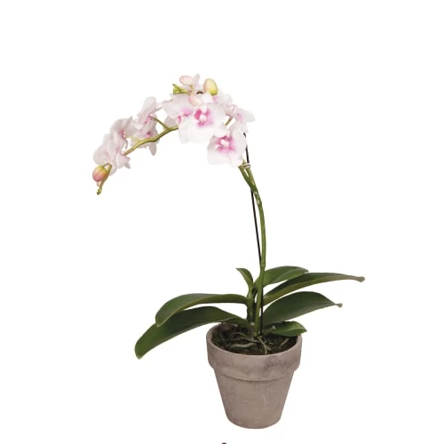 Offres 👏 Sia Deco Décoration De Jardin Orchidée Dendrobium En Pot H42cm ❤️