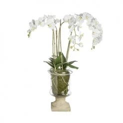 Les meilleures critiques de 😉 Sia Deco Décoration De Jardin Orchidée En Coupe Marylin H88cm ⭐