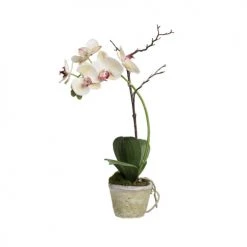 Le moins cher 🎉 Sia Deco Décoration De Jardin Orchidée En Pot Sina 👍