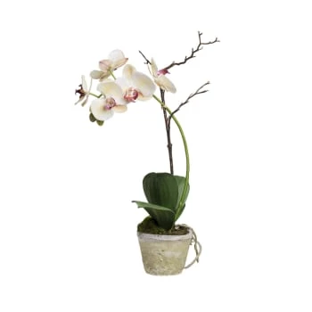 Offres 💯 Sia Deco Décoration De Jardin Orchidée En Pot Sina 🤩 – Image 4