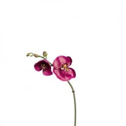 Nouveau 🔔 Sia Deco Décoration De Jardin Orchidée Phalaenopsis Budy H26cm 🥰