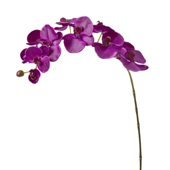 De gros 🎉 Sia Deco Décoration De Jardin Orchidée Phalaenopsis Forever H100cm 💯 – Image 4