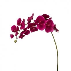 Acheter ❤️ Sia Deco Décoration De Jardin Orchidée Phalaenopsis Forever H100cm 😀