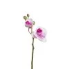 Top 10 ✔️ Sia Deco Décoration De Jardin Orchidée Phalaenopsis Forever H32cm 🎉