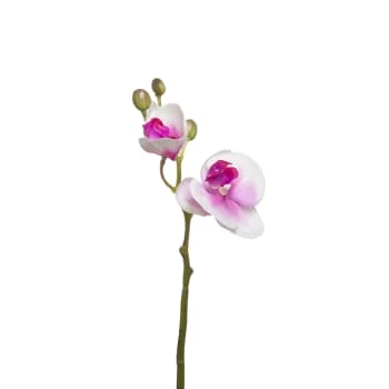 Top 10 ✔️ Sia Deco Décoration De Jardin Orchidée Phalaenopsis Forever H32cm 🎉 – Image 3