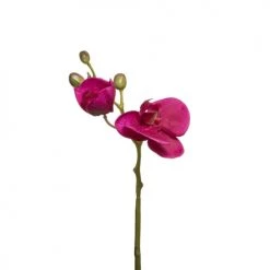 Les meilleures critiques de 🤩 Sia Deco Décoration De Jardin Orchidée Phalaenopsis Forever H32cm 🛒