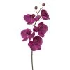Coupon ⌛ Sia Deco Décoration De Jardin Orchidée Phalaenopsis Forever H47cm 😀