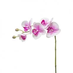 Le moins cher 😉 Sia Deco Fleurs Artificielles Et Bouquets Orchidée Phalaenopsis Forever H47cm 🤩