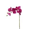 Coupon 👏 Sia Deco Décoration De Jardin Orchidée Phalaenopsis Forever H47cm 🛒