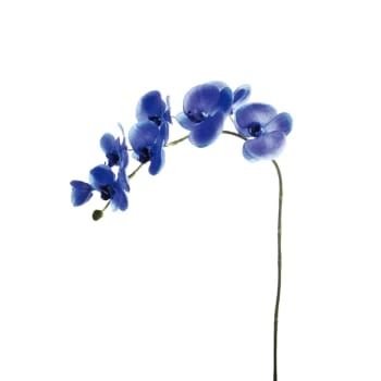 Vente flash 🛒 Sia Deco Décoration De Jardin Orchidée Phalaenopsis Forever H82cm 🛒 – Image 2