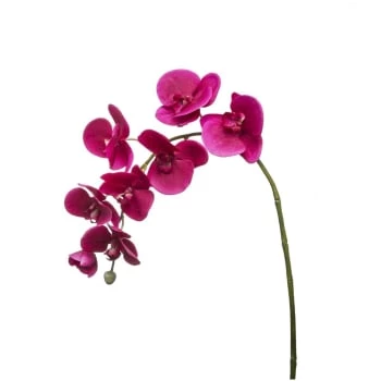 Meilleure vente ⭐ Sia Deco Décoration De Jardin Orchidée Phalaenopsis Forever H82cm 🎉 – Image 3