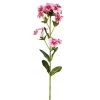 Meilleure affaire 🎁 Maisons Du Monde Fleurs Artificielles Et Bouquets Phlox Artificiel Rose - Lot De 2 🌟