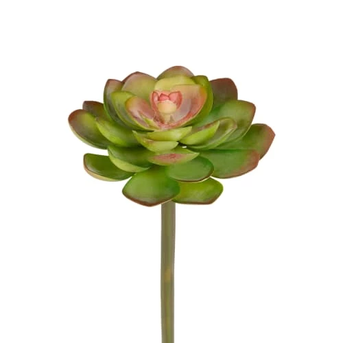 Vente flash 🤩 Sia Deco Décoration De Jardin Piquet De Succulente Echeveria 😉 – Image 2