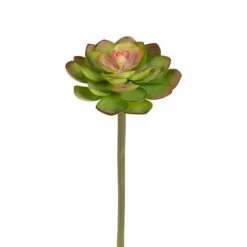 Vente flash 🤩 Sia Deco Décoration De Jardin Piquet De Succulente Echeveria 😉