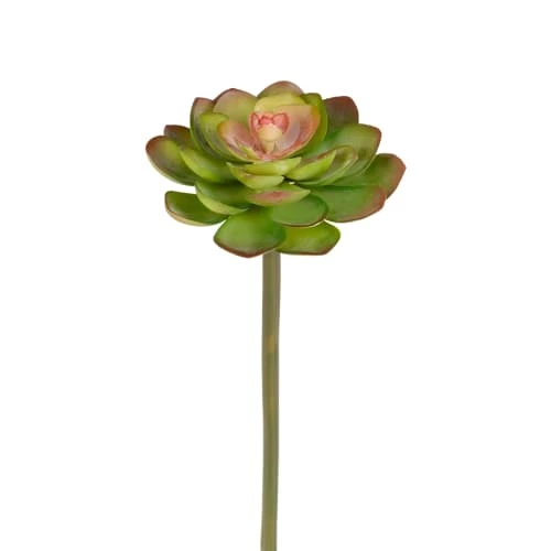 Vente flash 🤩 Sia Deco Décoration De Jardin Piquet De Succulente Echeveria 😉
