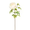 Grosses soldes 🤩 Sia Deco Décoration De Jardin Pivoine Artificielle Josie H55cm ⭐