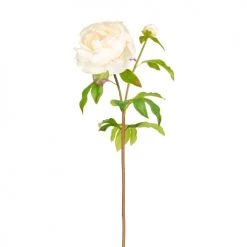 Grosses soldes 🤩 Sia Deco Décoration De Jardin Pivoine Artificielle Josie H55cm ⭐