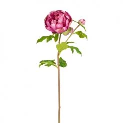 Meilleure vente 🧨 Sia Deco Décoration De Jardin Pivoine Artificielle Josie H55cm 🎉