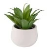 Budget 💯 Maisons Du Monde Fleurs Artificielles Et Bouquets Plante Artificielle Aloe Vera Et Pot En Céramique Blanche 🔔