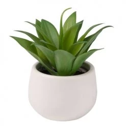 Budget 💯 Maisons Du Monde Fleurs Artificielles Et Bouquets Plante Artificielle Aloe Vera Et Pot En Céramique Blanche 🔔