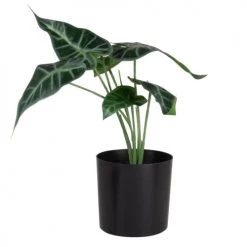 Coupon ⌛ Maisons Du Monde Fleurs Artificielles Et Bouquets Plante Artificielle Avec Pot Métal Noir Et Sable ✨