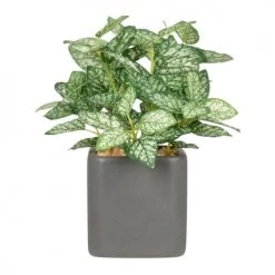 Vente flash 🥰 Maisons Du Monde Fleurs Artificielles Et Bouquets Plante Artificielle Et Pot En Céramique Grise ✔️