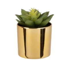 Vente flash ✔️ Maisons Du Monde Fleurs Artificielles Et Bouquets Plante Artificielle Succulente Avec Pot Doré 6x11.5 👍