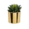 Meilleure vente ✨ Maisons Du Monde Fleurs Artificielles Et Bouquets Plante Artificielle Succulente Avec Pot Doré 7.5x11.5 🔔