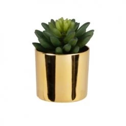 Meilleure vente ✨ Maisons Du Monde Fleurs Artificielles Et Bouquets Plante Artificielle Succulente Avec Pot Doré 7.5x11.5 🔔