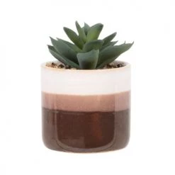 Top 10 🔔 Maisons Du Monde Fleurs Artificielles Et Bouquets Plante Artificielle Succulente, Avec Pot Tricolore H11 - Lot De 2 🎁