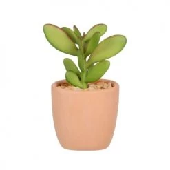 Sortie 🔥 Maisons Du Monde Fleurs Artificielles Et Bouquets Plante Artificielle Succulente Verte, Avec Pot Terracotta H9 - Lot De 2 ⌛