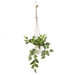 Promo ⭐ Maisons Du Monde Fleurs Artificielles Et Bouquets Plante Artificielle Suspendue En Métal, Céramique Et Jute 🎉