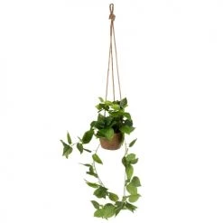 De gros 👍 Maisons Du Monde Fleurs Artificielles Et Bouquets Plante Artificielle Suspendue Pot En Chanvre 🛒