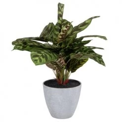 Tout neuf 🔥 Maisons Du Monde Fleurs Artificielles Et Bouquets Plante Artificielle Verte à Larges Feuilles Avec Pot Gris ✔️